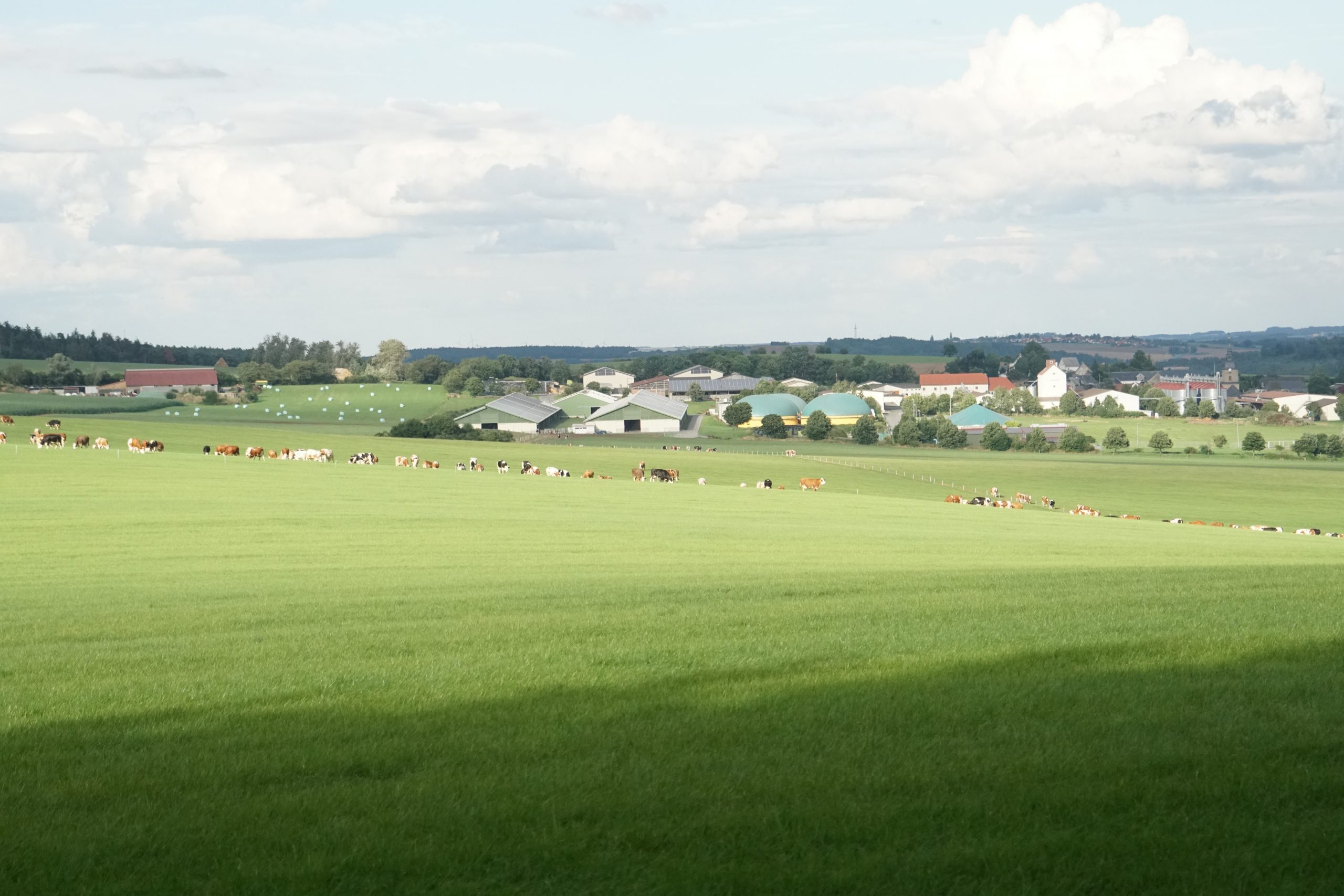 Initiativbewerbung ERVEMA Agrar Gesellschaft W hlsdorf MbH
